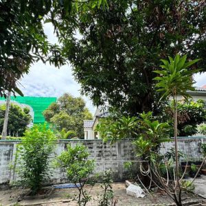 出售地皮-泰国-北柳-17600-平方米-7.72-01