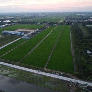 出售地皮-泰国-北柳-19200-平方米-75-01