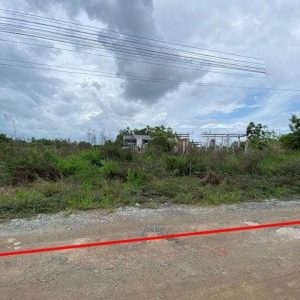 出售地皮-泰国-北柳-2040-平方米-92.46-01