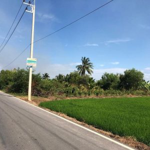 出售地皮-泰国-北柳-23144-平方米-20.75-01