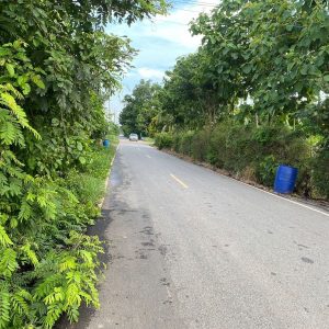 出售地皮-泰国-北柳-2868-平方米-29.92-01