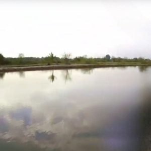 出售地皮-泰国-北柳-28800-平方米-0.55-01