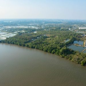 出售地皮-泰国-北柳-29756-平方米-3.46-01