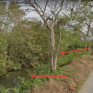 出售地皮-泰国-北柳-3200-平方米-75-01