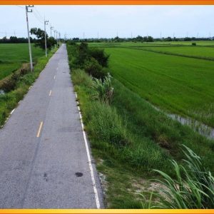 出售地皮-泰国-北柳-374244-平方米-32.15-01