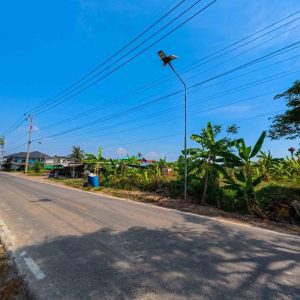 出售地皮-泰国-北柳-3992-平方米-61.86-01