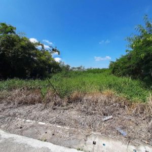 出售地皮-泰国-北柳-400-平方米-68.58-01