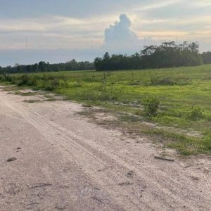 出售地皮-泰国-北柳-42400-平方米-1.32-01