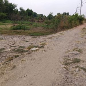 出售地皮-泰国-北柳-42724-平方米-12.86-01