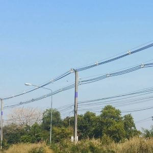 出售地皮-泰国-北柳-43200-平方米-3.2-01