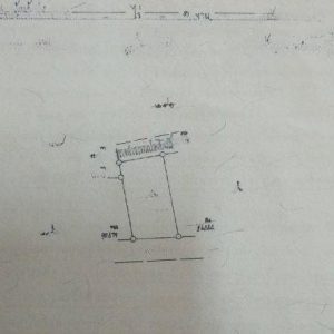 出售地皮-泰国-北柳-468-平方米-128.58-01