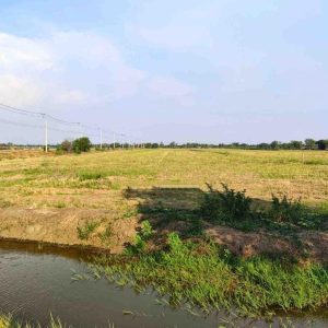 出售地皮-泰国-北柳-46800-平方米-91.23-01