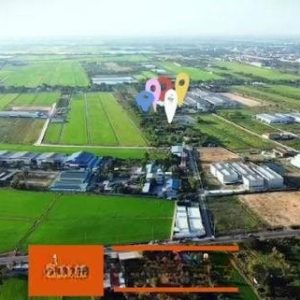 出售地皮-泰国-北柳-5600-平方米-0-01