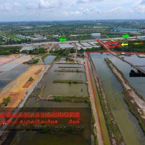 出售地皮-泰国-北柳-574296-平方米-42.83-01