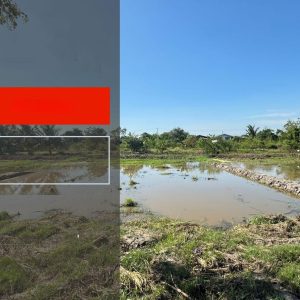 出售地皮-泰国-北柳-600-平方米-51.43-01