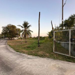 出售地皮-泰国-北柳-6001.6-平方米-217.09-01