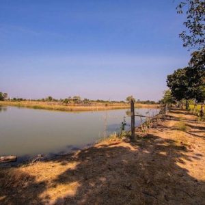 出售地皮-泰国-北柳-64000-平方米-12.55-01