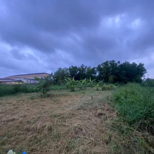 出售地皮-泰国-北柳-800-平方米-214.29-01