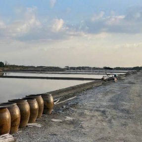 出售地皮-泰国-北柳-815428-平方米-62.09-01