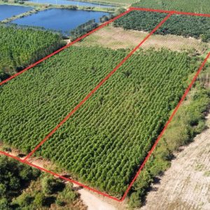 出售地皮-泰国-北柳-95836-平方米-19.29-01