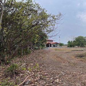 出售地皮-泰国-北标-11200-平方米-9.8-01