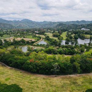 出售地皮-泰国-北标-11460-平方米-257.15-01