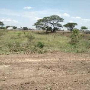 出售地皮-泰国-北标-123912-平方米-34.6-01