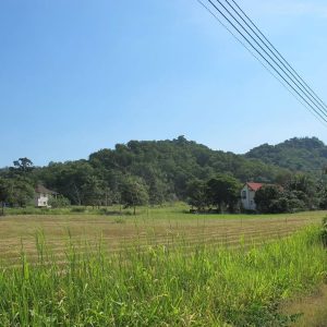 出售地皮-泰国-北标-1460-平方米-231.43-01