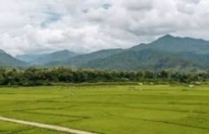 出售地皮-泰国-北标-1600-平方米-11.8-01