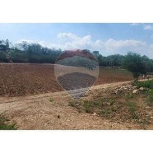 出售地皮-泰国-北标-19200-平方米-5.38-01