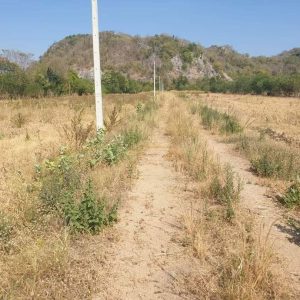 出售地皮-泰国-北标-22400-平方米-17.15-01