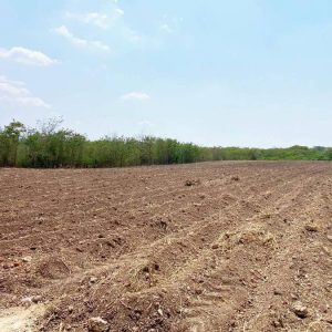 出售地皮-泰国-北标-27644-平方米-5.6-01