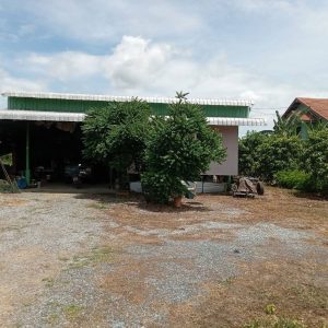 出售地皮-泰国-北标-2800-平方米-61.23-01