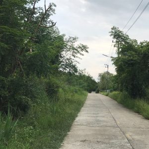 出售地皮-泰国-北标-36800-平方米-0.46-01