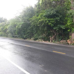 出售地皮-泰国-北标-39344-平方米-13.09-01