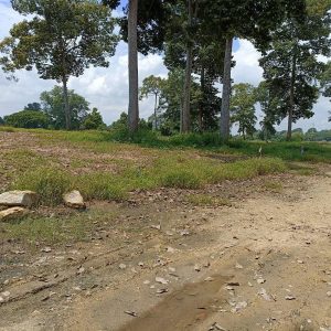 出售地皮-泰国-北标-400-平方米-137.15-01