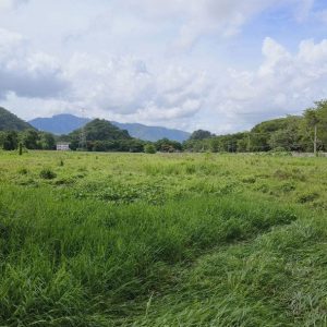 出售地皮-泰国-北标-53492-平方米-34.63-01