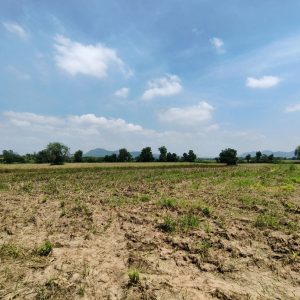 出售地皮-泰国-北标-59200-平方米-14.49-01