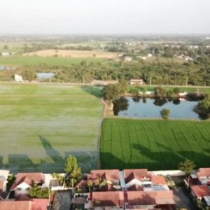 出售地皮-泰国-北标-81600-平方米-32.15-01