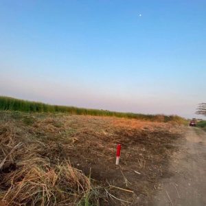 出售地皮-泰国-北榄-1200-平方米-137.15-01