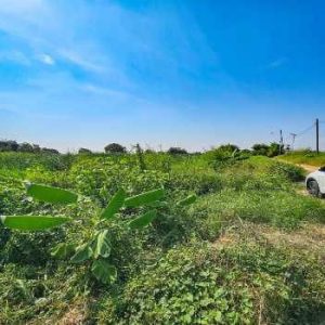 出售地皮-泰国-北榄-1600-平方米-128.58-01