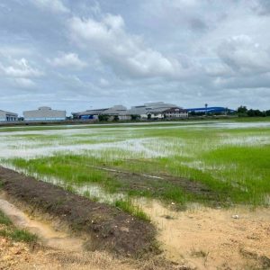 出售地皮-泰国-北榄-187956-平方米-102.86-01