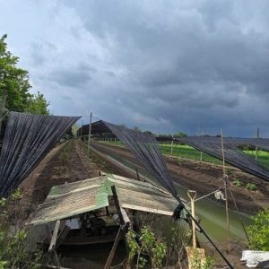 出售地皮-泰国-北榄-1884-平方米-91-01