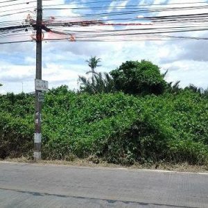 出售地皮-泰国-北榄-2028-平方米-270.52-01