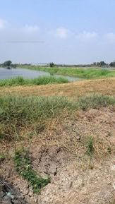 出售地皮-泰国-北榄-31440-平方米-38.18-01