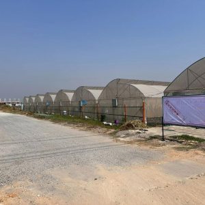 出售地皮-泰国-北榄-316-平方米-65-01