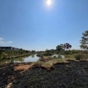 出售地皮-泰国-北榄-3200-平方米-176.8-01