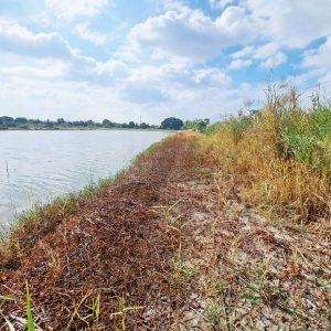 出售地皮-泰国-北榄-428-平方米-351.43-01