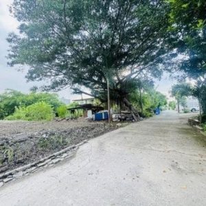 出售地皮-泰国-北榄-638.8-平方米-342.86-01