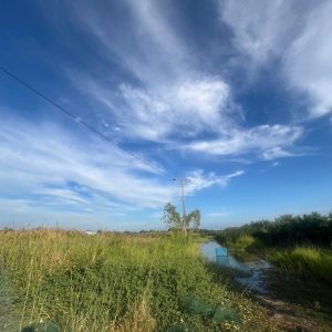 出售地皮-泰国-北榄-64320-平方米-93.29-01